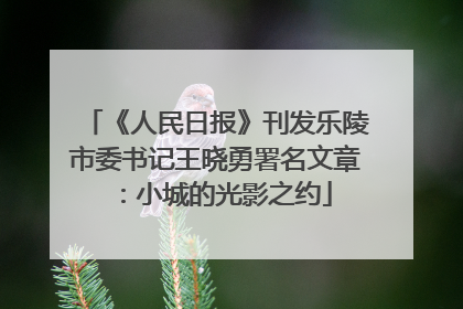 《人民日报》刊发乐陵市委书记王晓勇署名文章：小城的光影之约