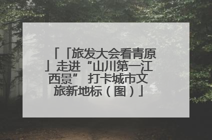 「旅发大会看青原」走进“山川第一江西景” 打卡城市文旅新地标（图）