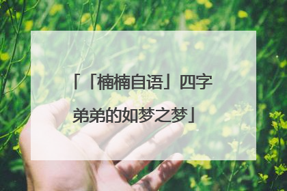 「楠楠自语」四字弟弟的如梦之梦