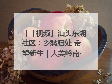 「视频」汕头东湖社区：乡愁归处 希望新生｜大美岭南·百村焕新记