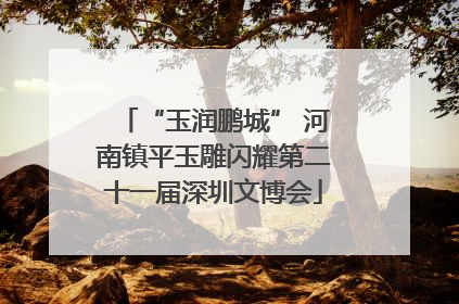 “玉润鹏城” 河南镇平玉雕闪耀第二十一届深圳文博会