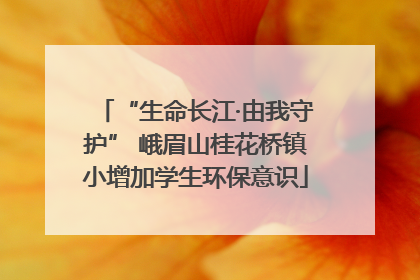 “生命长江·由我守护” 峨眉山桂花桥镇小增加学生环保意识