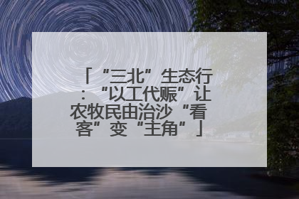 “三北”生态行：“以工代赈”让农牧民由治沙“看客”变“主角”