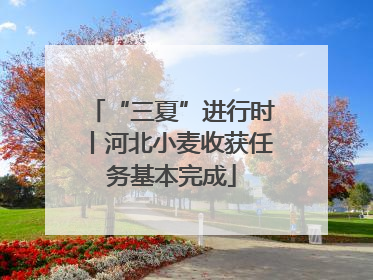 “三夏”进行时丨河北小麦收获任务基本完成