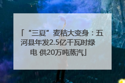 “三夏”麦秸大变身：五河县年发2.5亿千瓦时绿电 供20万吨蒸汽