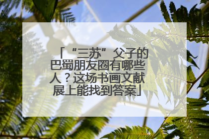 “三苏”父子的巴蜀朋友圈有哪些人？这场书画文献展上能找到答案