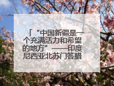 “中国新疆是一个充满活力和希望的地方”——印度尼西亚北苏门答腊省伊斯兰教代表团参访新疆