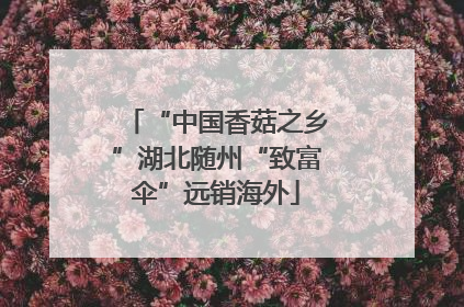“中国香菇之乡”湖北随州“致富伞”远销海外