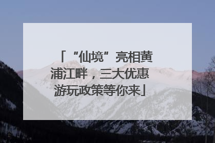 “仙境”亮相黄浦江畔，三大优惠游玩政策等你来