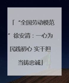 “全国劳动模范”徐安清：一心为民践初心 实干担当铸忠诚