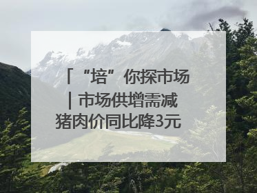 “培”你探市场｜市场供增需减 猪肉价同比降3元 未来40天便宜猪肉敞开吃