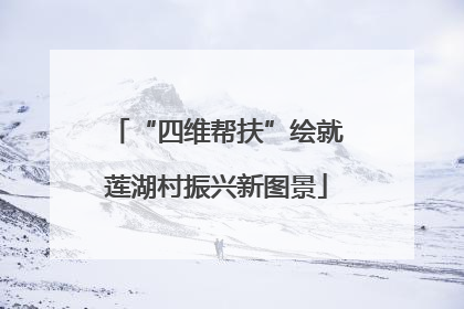 “四维帮扶”绘就莲湖村振兴新图景