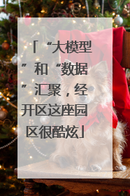 “大模型”和“数据”汇聚，经开区这座园区很酷炫