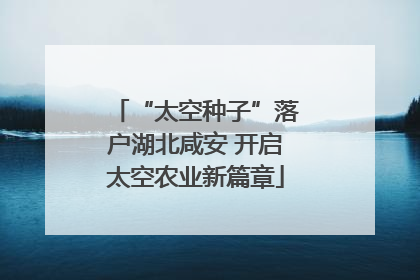 “太空种子”落户湖北咸安 开启太空农业新篇章
