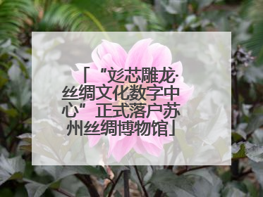 “彣芯雕龙·丝绸文化数字中心”正式落户苏州丝绸博物馆