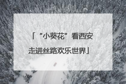 “小葵花”看西安走进丝路欢乐世界