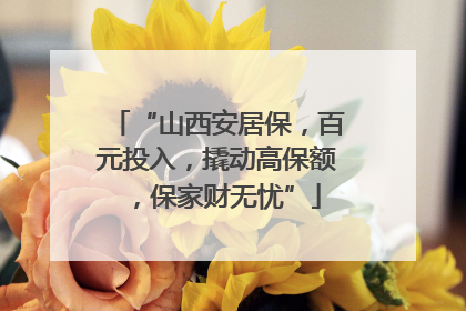 “山西安居保，百元投入，撬动高保额，保家财无忧”