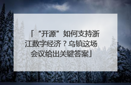 “开源”如何支持浙江数字经济？乌镇这场会议给出关键答案