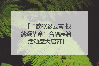 “放歌彩云南 银龄颂华章”合唱展演活动盛大启幕