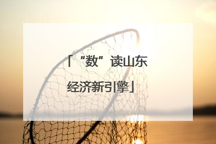 “数”读山东经济新引擎