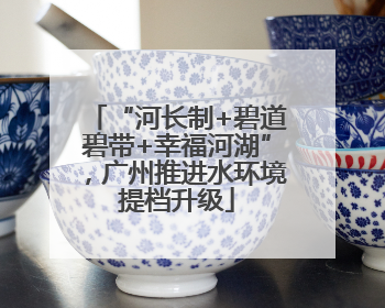“河长制+碧道碧带+幸福河湖”，广州推进水环境提档升级