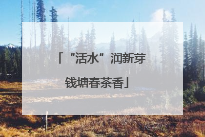 “活水”润新芽 钱塘春茶香
