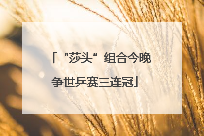 “莎头”组合今晚争世乒赛三连冠