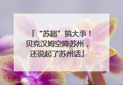 “苏超”搞大事！贝克汉姆空降苏州，还说起了苏州话