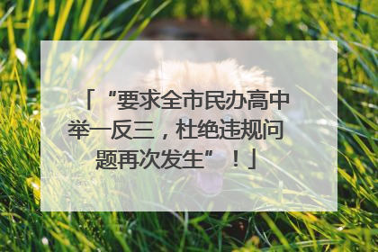 “要求全市民办高中举一反三，杜绝违规问题再次发生”！