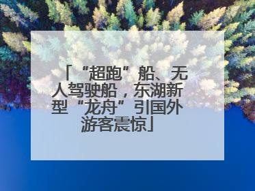 “超跑”船、无人驾驶船，东湖新型“龙舟”引国外游客震惊