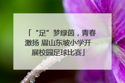 “足”梦绿茵，青春激扬 眉山东坡小学开展校园足球比赛