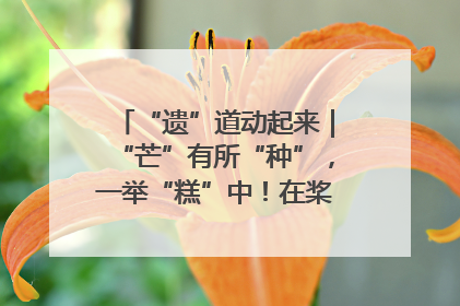 “遗”道动起来｜“芒”有所“种”，一举“糕”中！在桨影拳风里，邂逅最“动”人的风景！（内含报名信息）