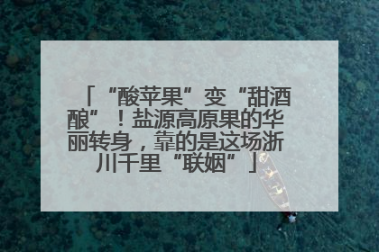 “酸苹果”变“甜酒酿”！盐源高原果的华丽转身，靠的是这场浙川千里“联姻”