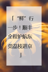 “鲜”行一步！顺丰全程护航东莞荔枝进京