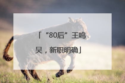 “80后”王鸣昊，新职明确