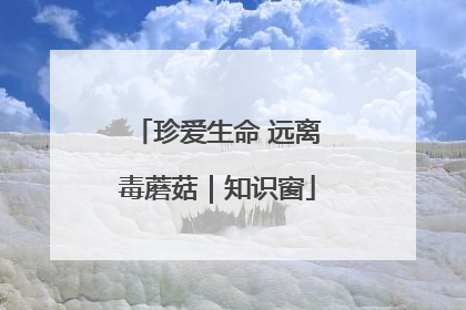 珍爱生命 远离毒蘑菇｜知识窗