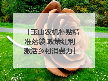 玉山农机补贴精准落袋 政策红利激活乡村消费力