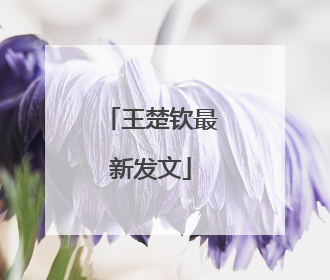 王楚钦最新发文