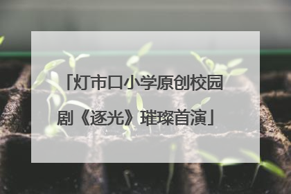 灯市口小学原创校园剧《逐光》璀璨首演