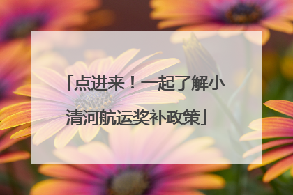 点进来！一起了解小清河航运奖补政策