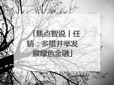 焦点智说丨任婧：多措并举发展绿色金融