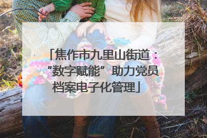 焦作市九里山街道：“数字赋能”助力党员档案电子化管理