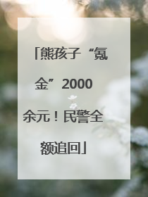 熊孩子“氪金”2000余元！民警全额追回