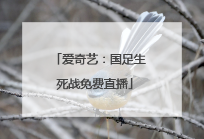 爱奇艺：国足生死战免费直播