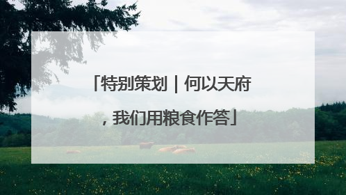 特别策划｜何以天府，我们用粮食作答
