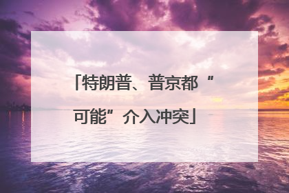 特朗普、普京都“可能”介入冲突