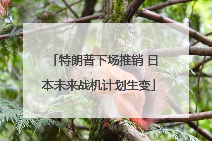 特朗普下场推销 日本未来战机计划生变