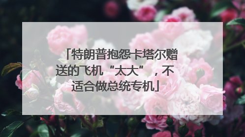 特朗普抱怨卡塔尔赠送的飞机“太大”，不适合做总统专机