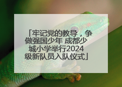 牢记党的教导，争做强国少年 成都少城小学举行2024级新队员入队仪式