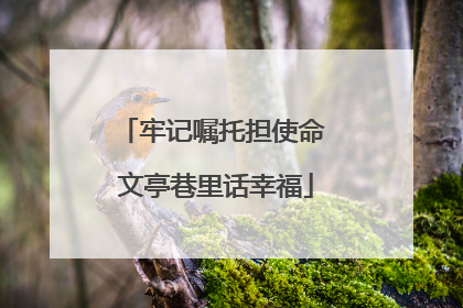 牢记嘱托担使命 文亭巷里话幸福